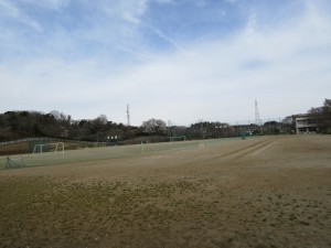 IMG_0546